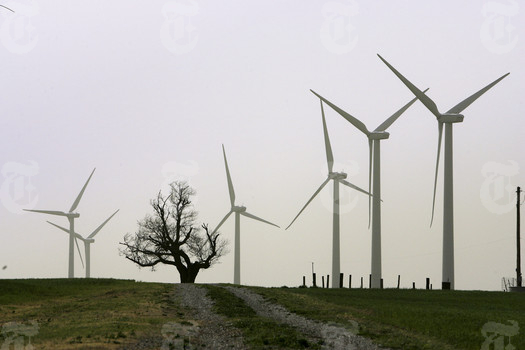 Práticas sustentáveis trazem lucro de melhor qualidade